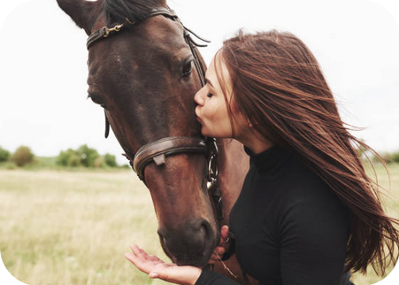 monika Moroccan Horseback Adventures