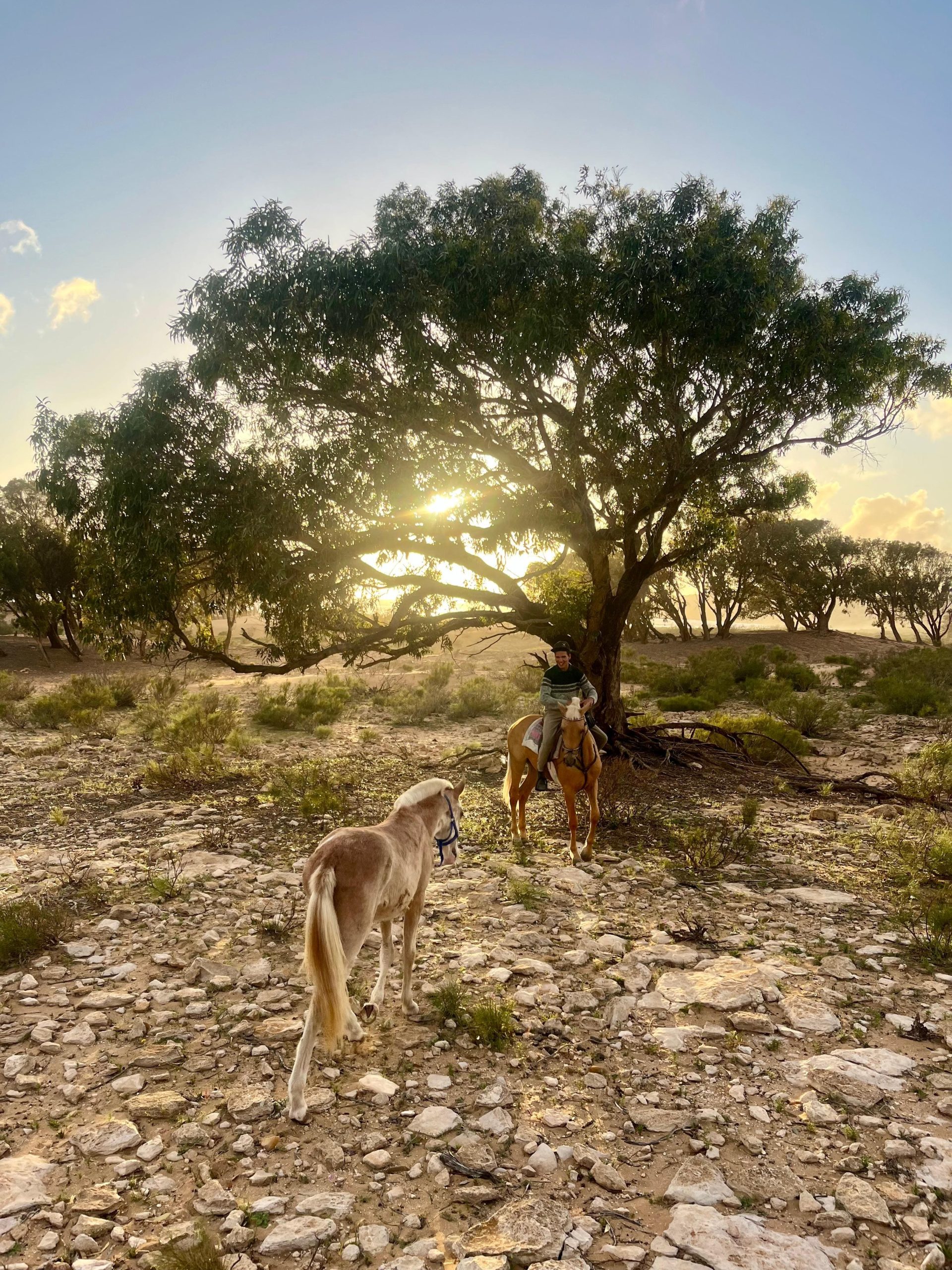 Rajd konny CHILL – Plaże Atlantyku (hotel)