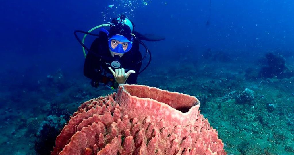 gallery megaresortkarimunjawa 51 Grooby Travel